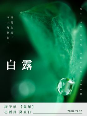 白露海报节气夏夜油画