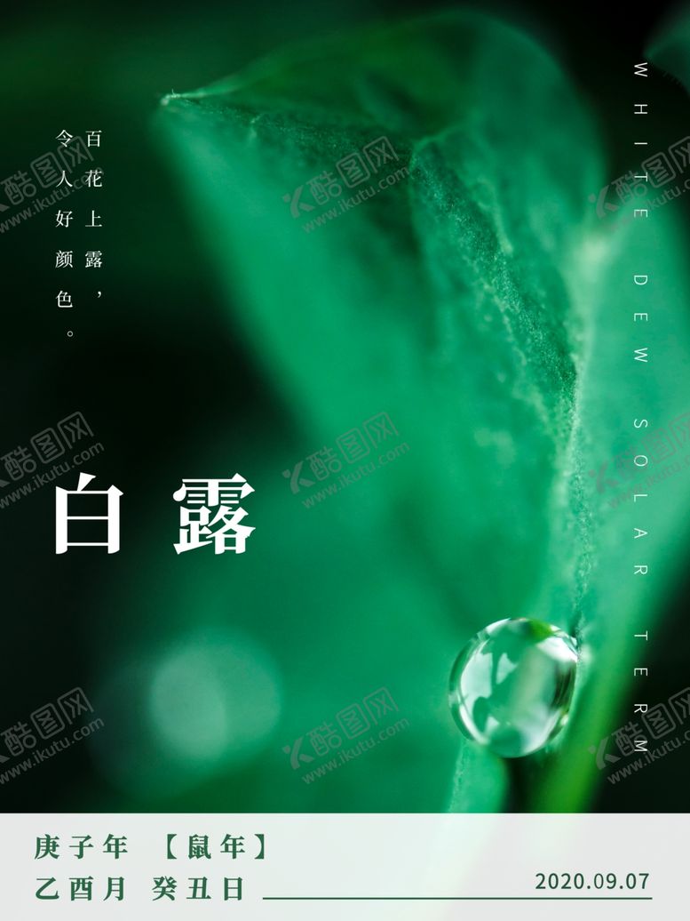 编号：24133705011933256808【酷图网】源文件下载-白露海报