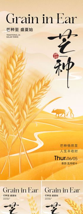 二十四节气芒种海报