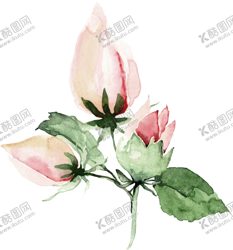 编号：36365207020408356711【酷图网】源文件下载-欧式彩绘植物