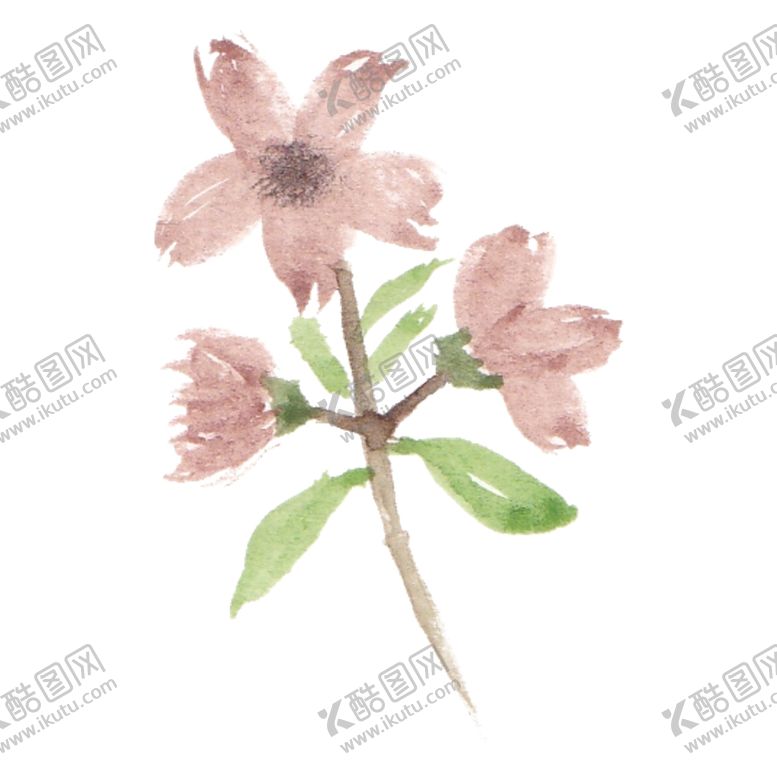 编号：28679110091209181118【酷图网】源文件下载-花朵