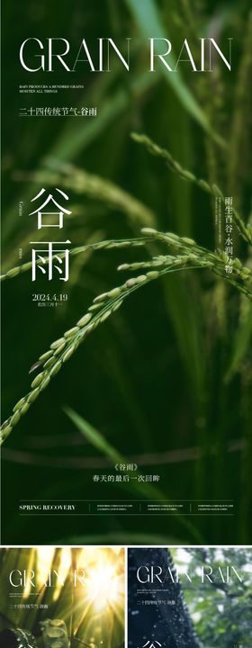 谷雨节气海报二十四季植物