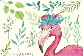 植物系插画素材