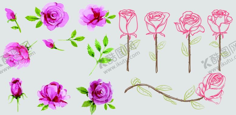 编号：27824409282038389556【酷图网】源文件下载-矢量手绘玫瑰花图片