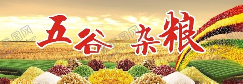 编号：93959509220004056856【酷图网】源文件下载-五谷杂粮宣传广告