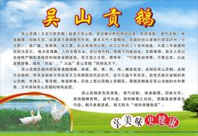 吴山贡鹅海报
