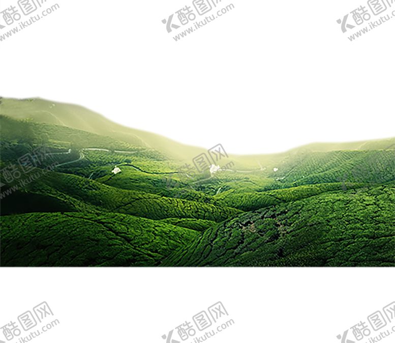 编号：68776210180928208380【酷图网】源文件下载-绿色背景