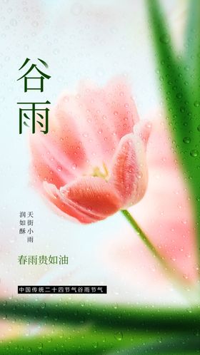 谷雨节气海报素材传统活动宣传