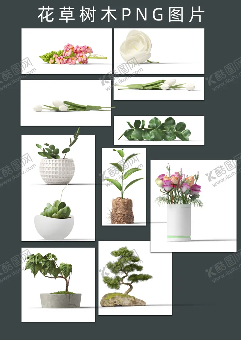 编号：41839906302329023773【酷图网】源文件下载-花草树木