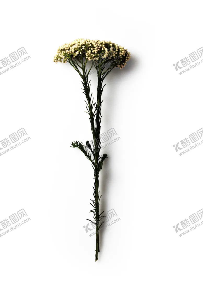 编号：34037607010912369458【酷图网】源文件下载-装饰画