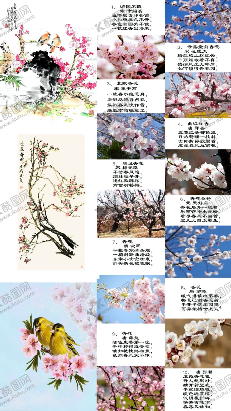 编号：13958610270454508490【酷图网】源文件下载-杏花与古诗