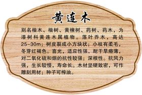 树牌树种介绍