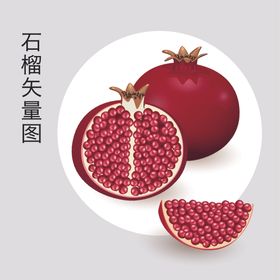 手绘石榴
