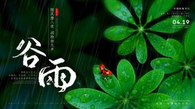 谷雨