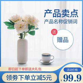 淘宝化妆品类主图直通车模板