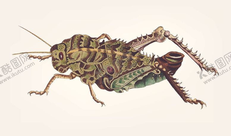 编号：45045609200821011737【酷图网】源文件下载-蝴蝶