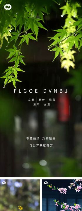 立春春分惊蛰立夏花卉系列海报