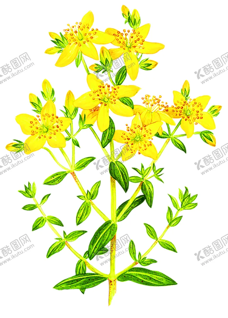 编号：59414806172241124104【酷图网】源文件下载-浪漫素材