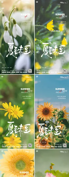 夏至节气海报