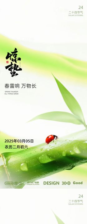 惊蛰节气海报竹子二十四瓢虫
