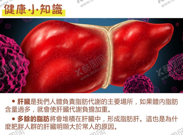 编号：27266207012052549823【酷图网】源文件下载-健康小知识
