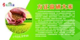 富硒大米