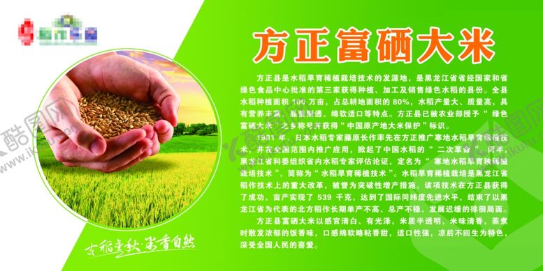 编号：79962207080356461964【酷图网】源文件下载-富硒大米