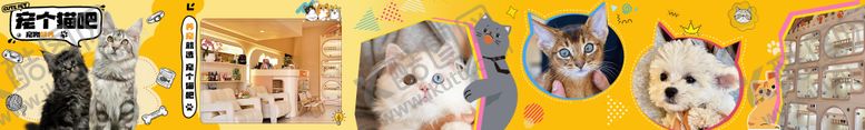 编号：30169001191402284776【酷图网】源文件下载-宠物医院团购五连图