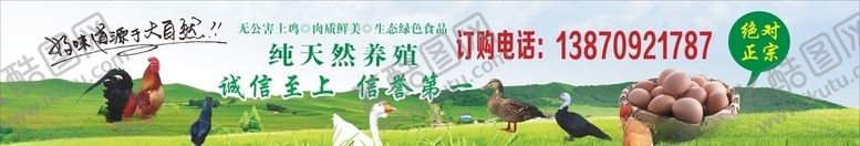 编号：53703807081729072663【酷图网】源文件下载-专业养殖