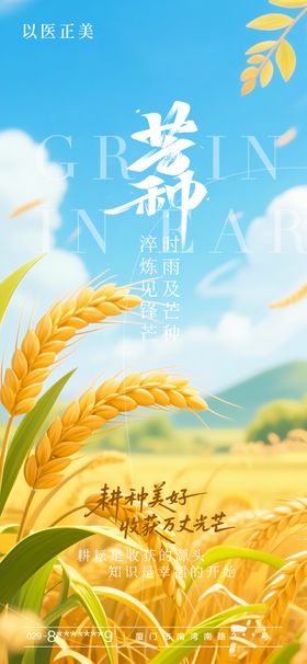 芒种节气海报二十四麦子麦穗
