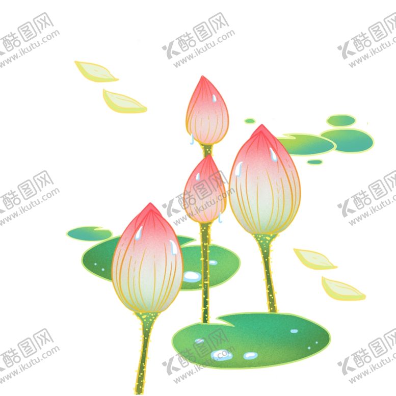编号：47258205011531546021【酷图网】源文件下载-彩色荷花
