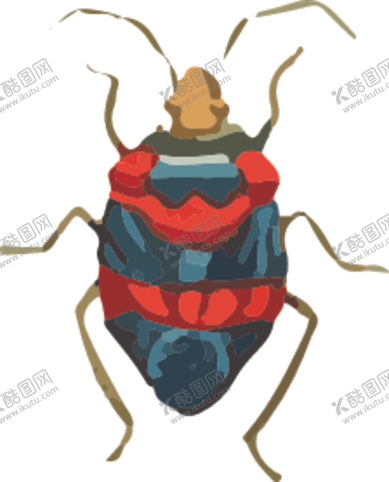 编号：89490907040159015326【酷图网】源文件下载-自然昆虫标本插画