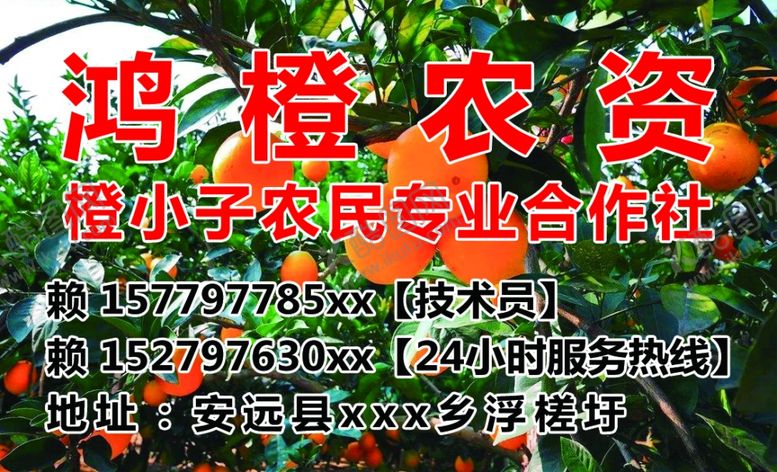编号：20720507061100225570【酷图网】源文件下载-脐橙农资服务卡合作社名片