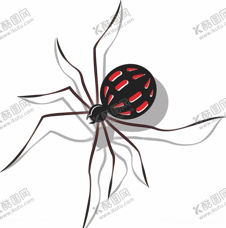 编号：90328705190307577608【酷图网】源文件下载-蜘蛛