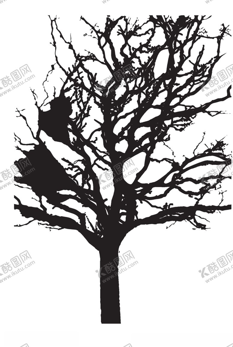编号：41260210050628005038【酷图网】源文件下载-树枝