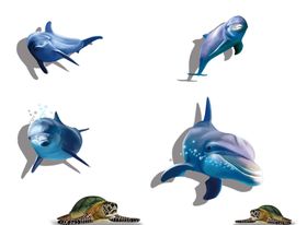 海豚