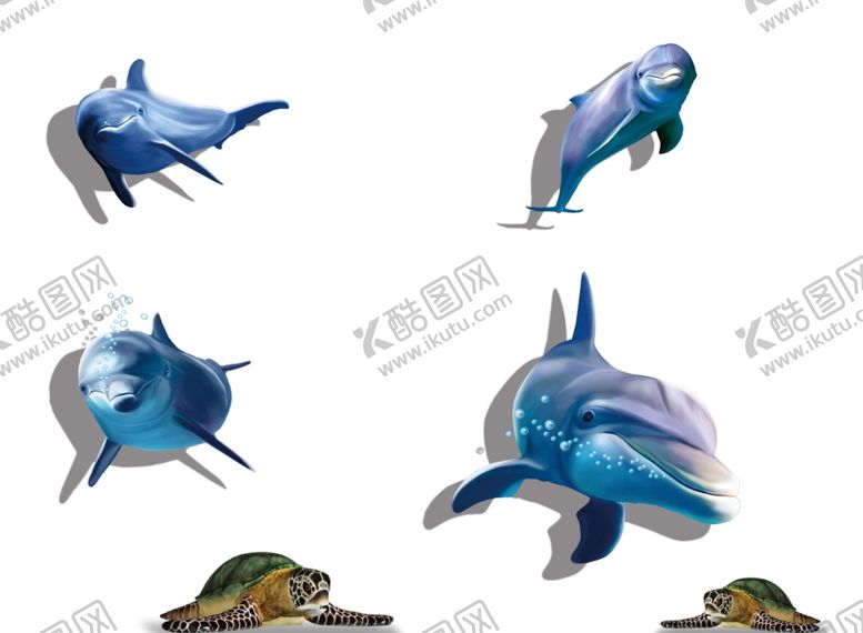 编号：29157809240939027476【酷图网】源文件下载-海豚