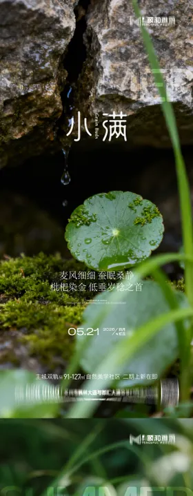 小满麦田二十四节气节日海报2026