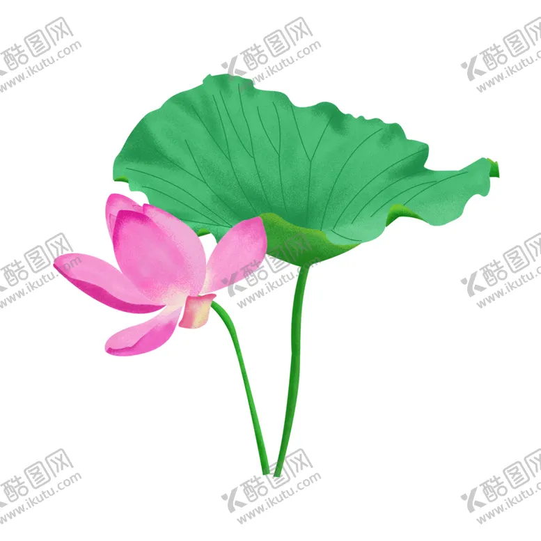 编号：15711904252006144186【酷图网】源文件下载-荷花元素