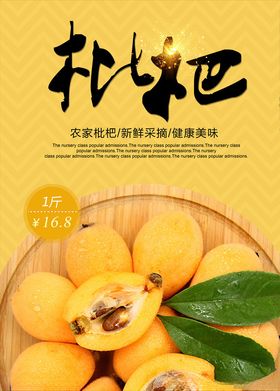 枇杷图片