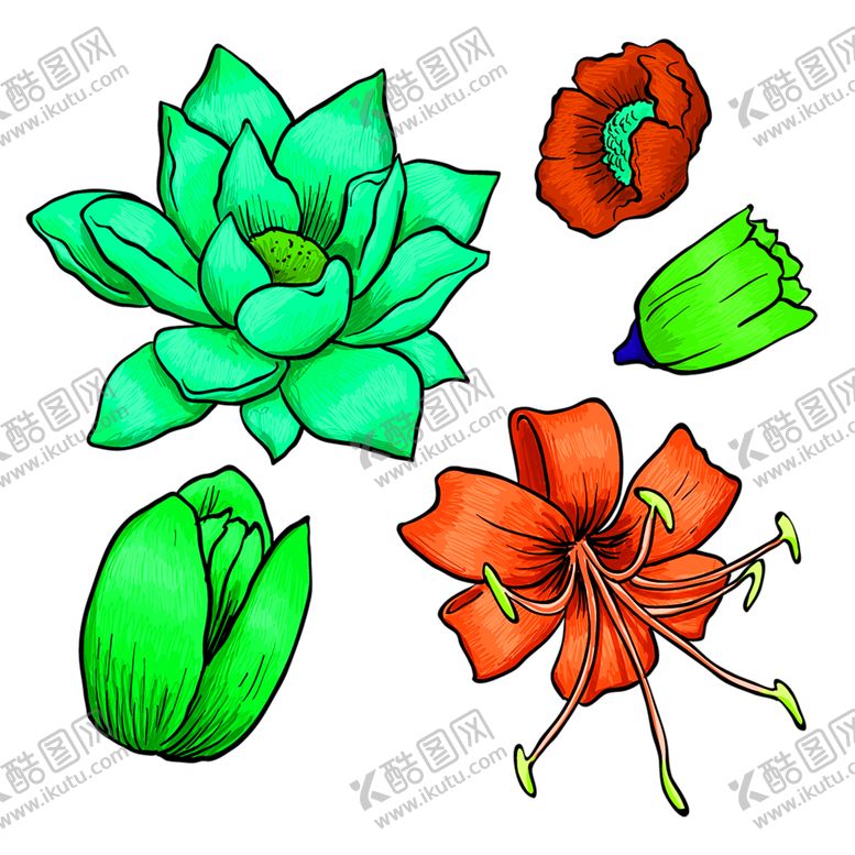 编号：75564706290833371848【酷图网】源文件下载-花素材