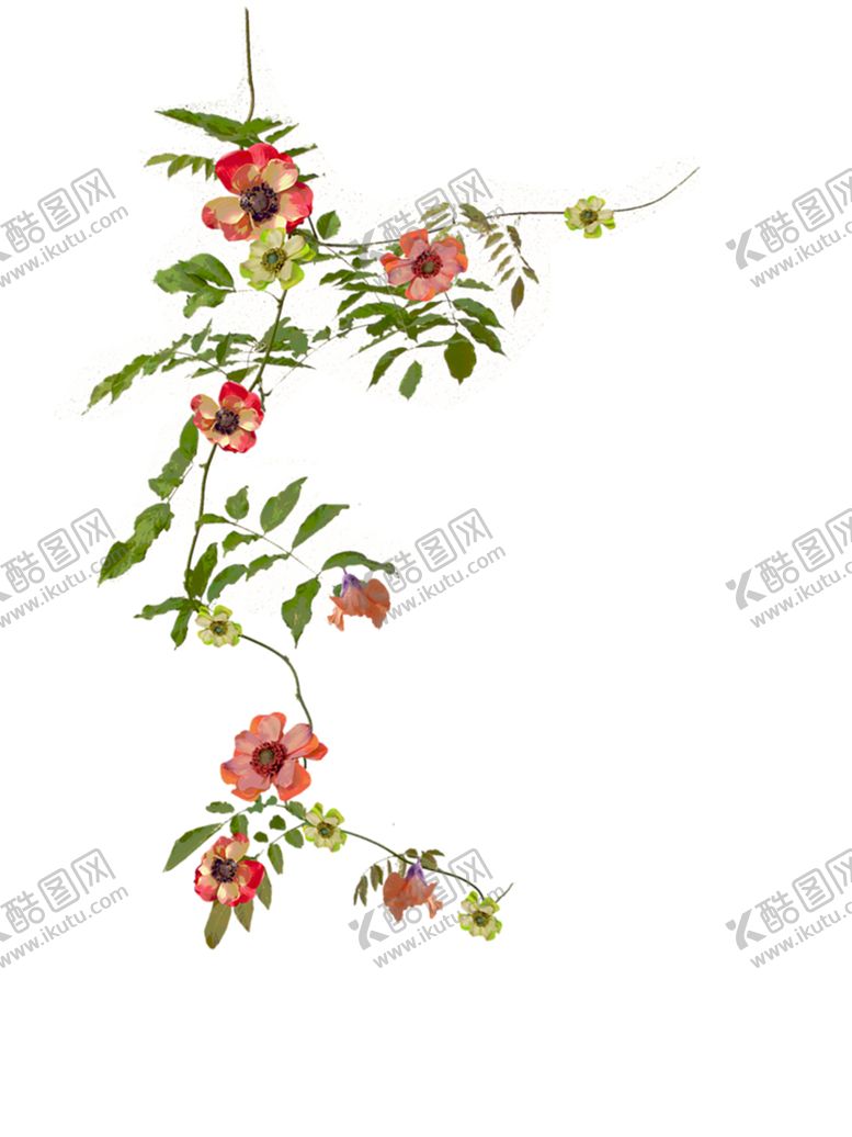 编号：31368109240647561494【酷图网】源文件下载-鲜花素材