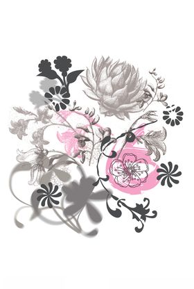 花卉组合
