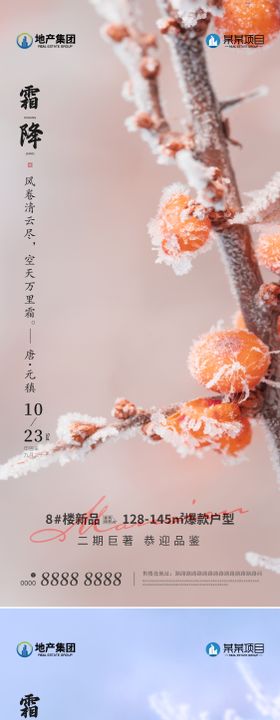 地产霜降海报枫叶质感柿子