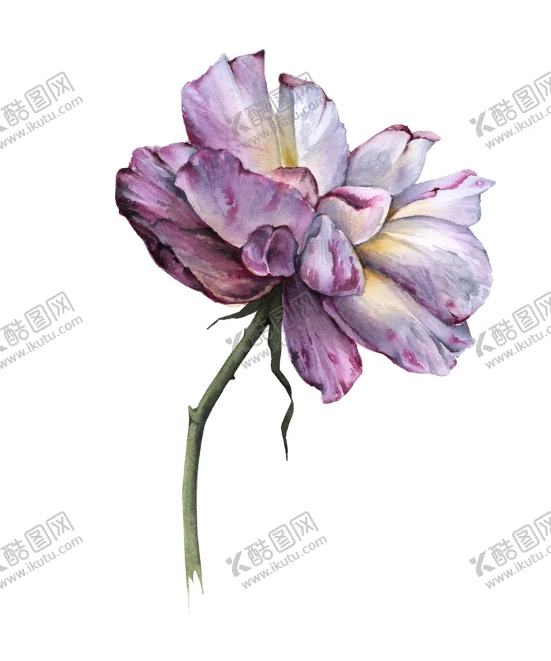 编号：85590101311023273460【酷图网】源文件下载-无缝花卉