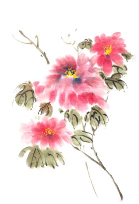 水墨牡丹花