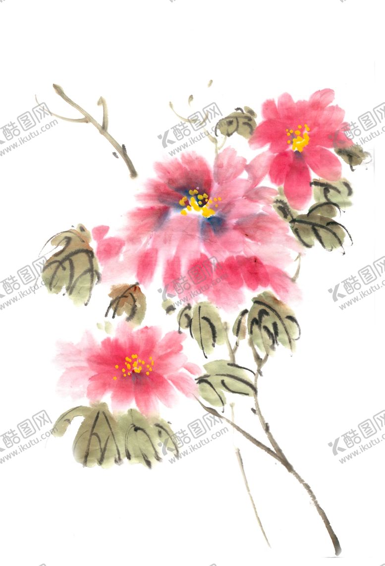 编号：12298209271453077115【酷图网】源文件下载-水墨牡丹花