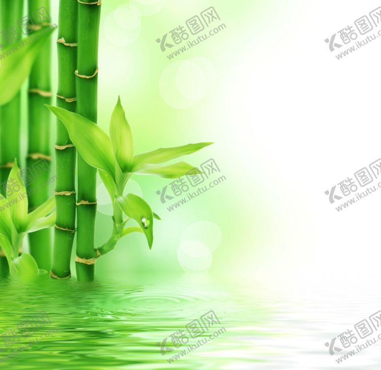 编号：80438707091224181162【酷图网】源文件下载-竹子