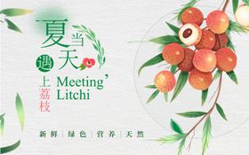 夏日水果荔枝淡粉色