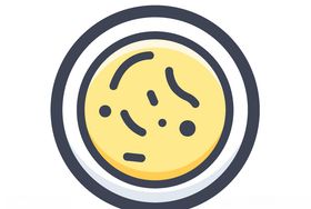 感染病菌矢量图标